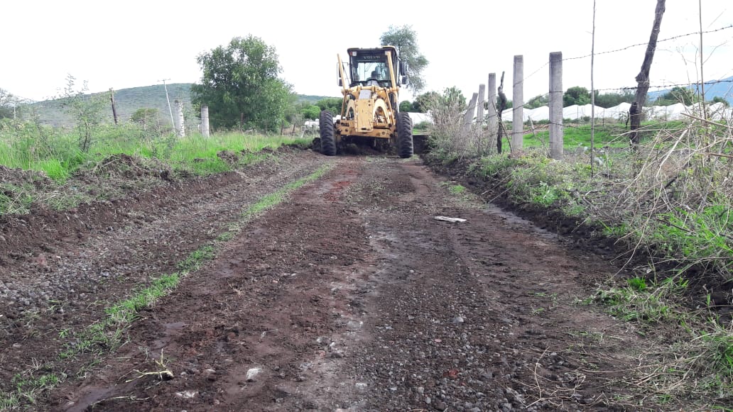 camino sacas