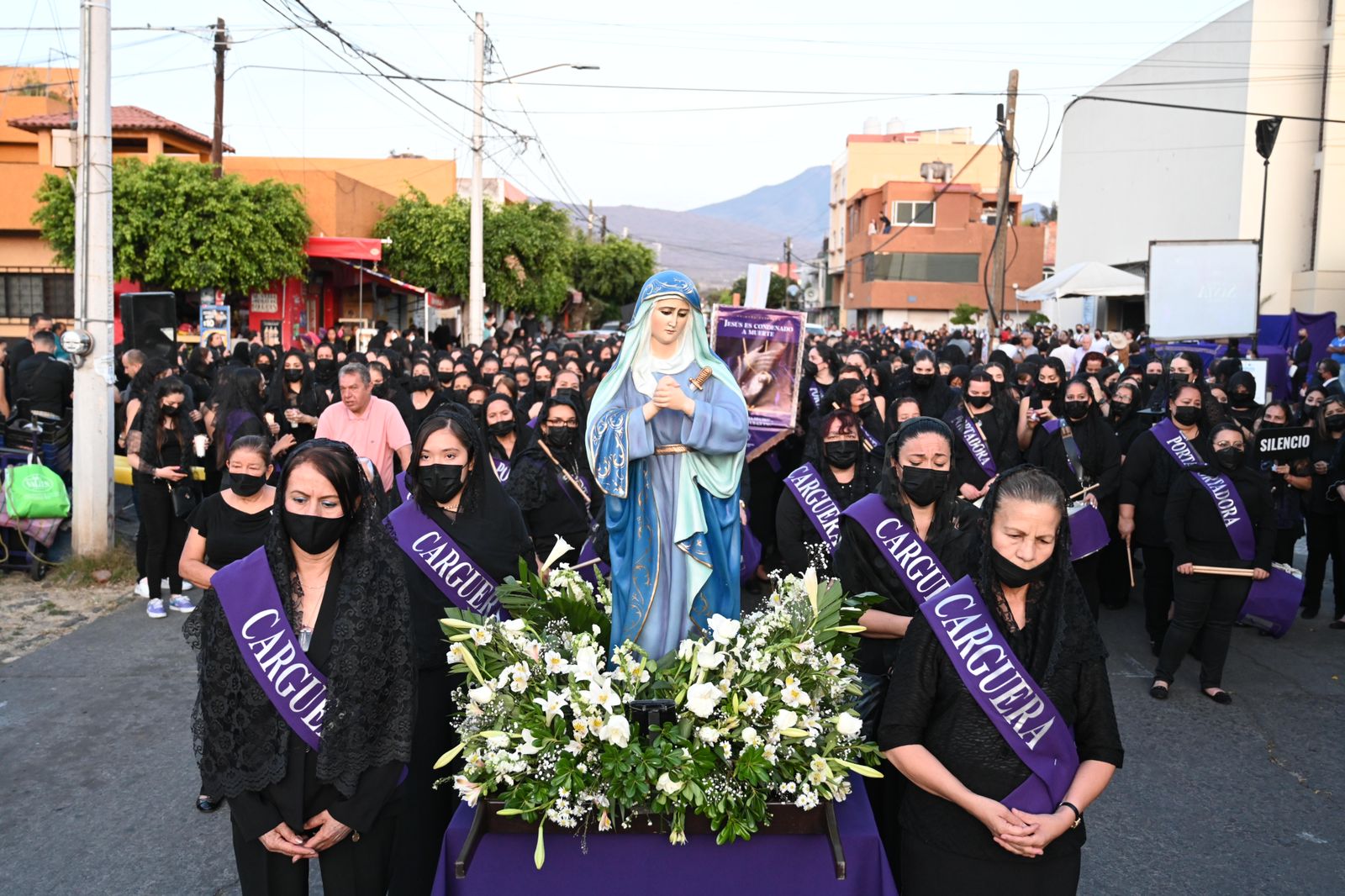 procesionsil