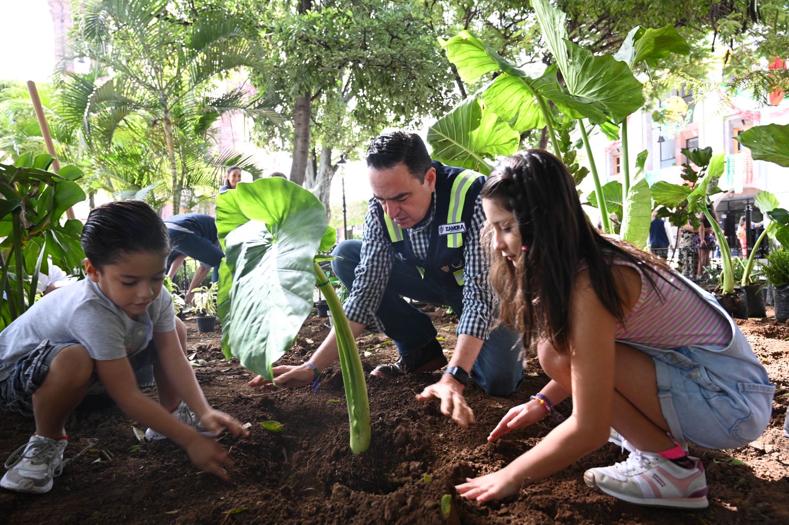 reforestacplaza