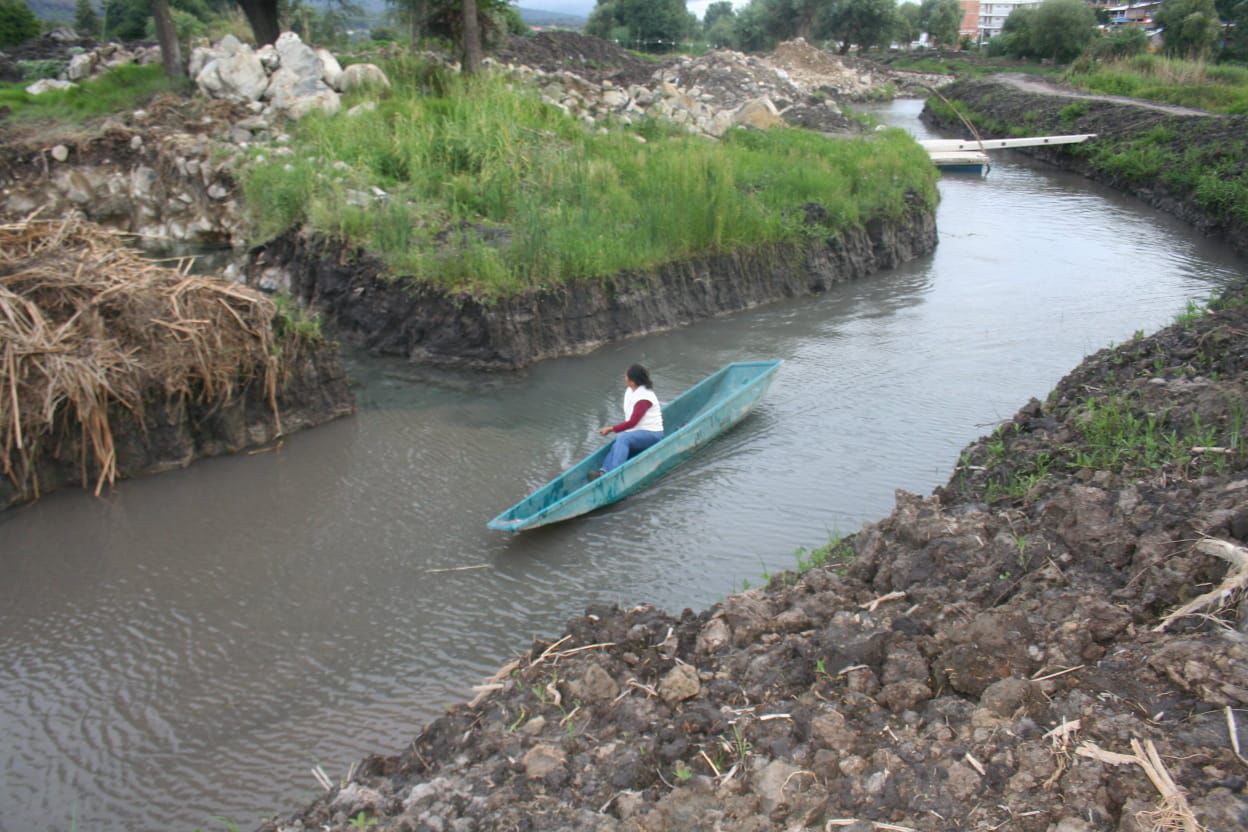 pescadoeros3